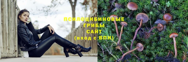 альфа пвп Карталы